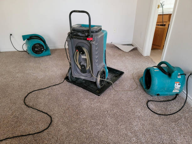 Best Water damage restoration near me  in Framingham, MA
