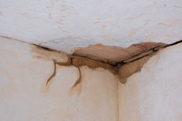 Best Flood damage cleanup  in Framingham, MA