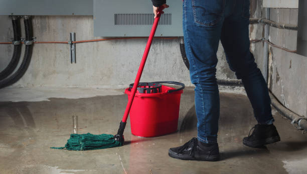 Best Water damage restoration near me  in Framingham, MA