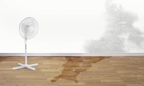 Best Local water damage restoration  in Framingham, MA