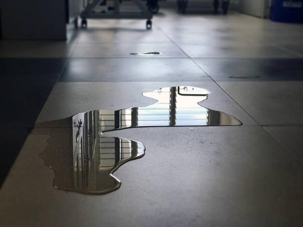 Best Water damage restoration company  in Framingham, MA