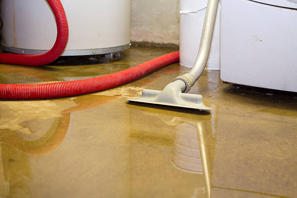 Best Local water damage restoration  in Framingham, MA