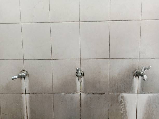 Best Emergency water extraction  in Framingham, MA