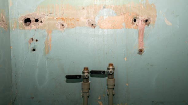 Best Basement water damage restoration  in Framingham, MA