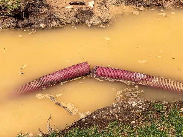 Best Water damage cleanup near me  in Framingham, MA