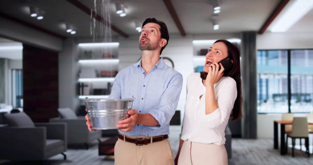Best Water damage restoration mold remediation  in Framingham, MA