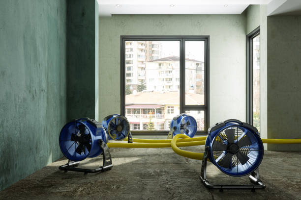 Best Water damage restoration process  in Framingham, MA